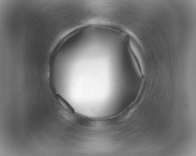 X0000068731461200605192306