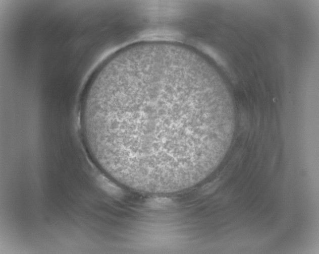 X0000068731462200605192306