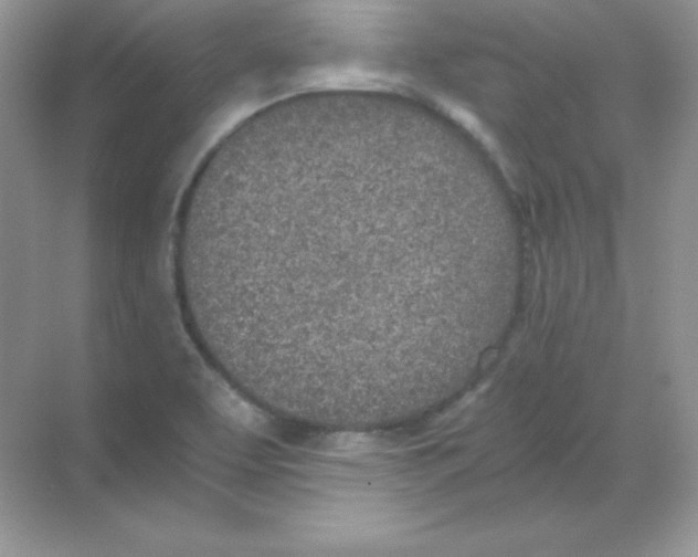 X0000068731463200605192306