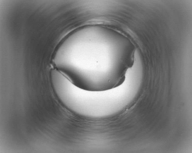 X0000068731465200605192306