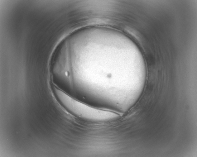 X0000068731467200605192306