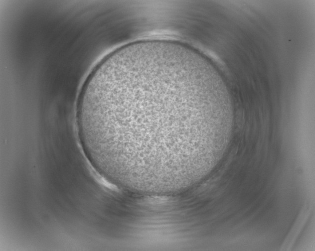 X0000068731470200605192306