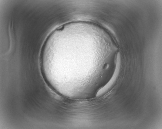 X0000068731471200605192306