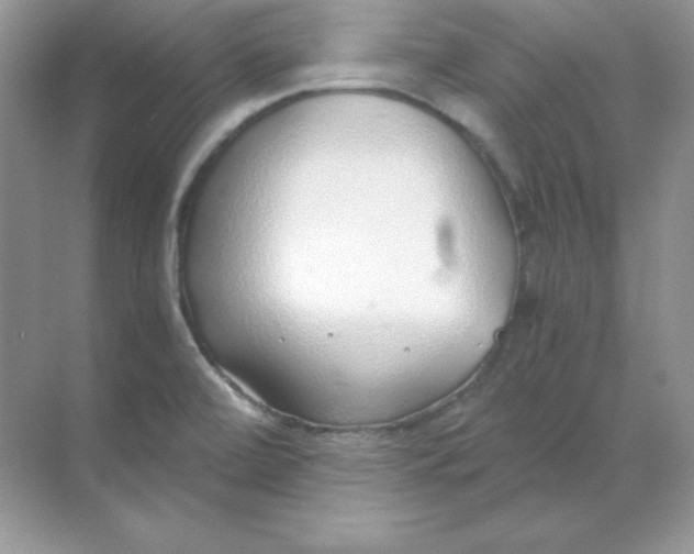 X0000068731472200605192306