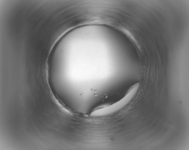 X0000068731476200605192306