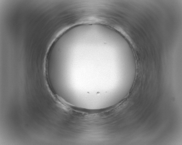 X0000068731477200605192306