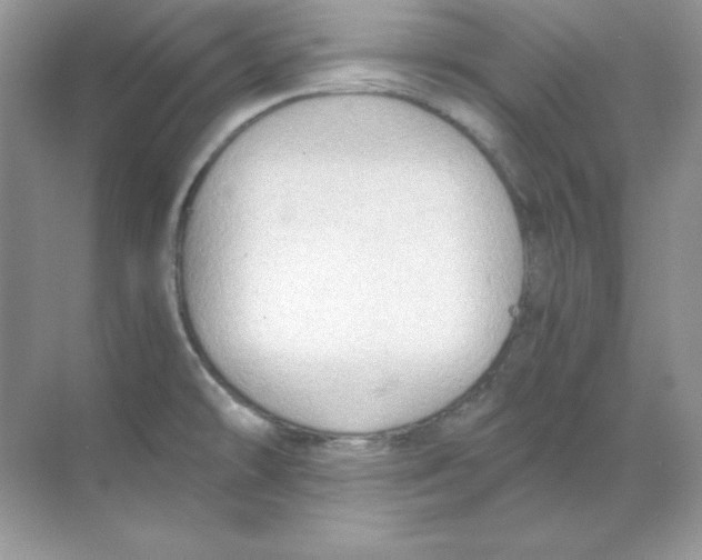 X0000068731478200605192306