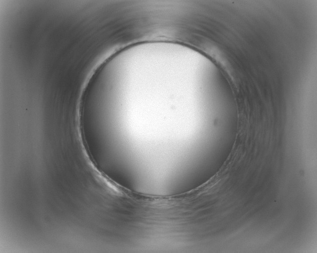 X0000068731480200605192306