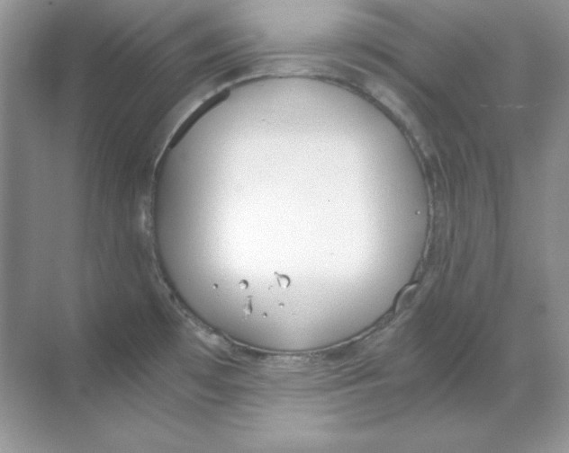 X0000068731481200605192306