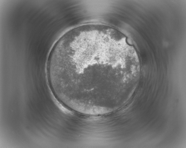 X0000068731482200605192306