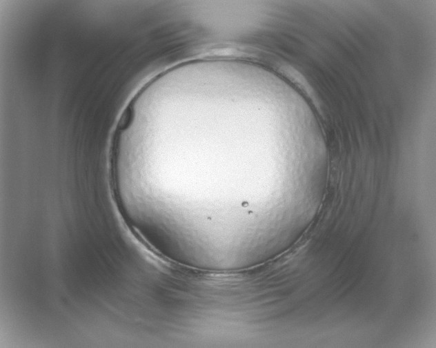 X0000068731483200605192306