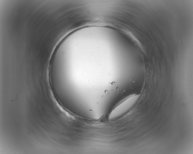 X0000068731484200605192306