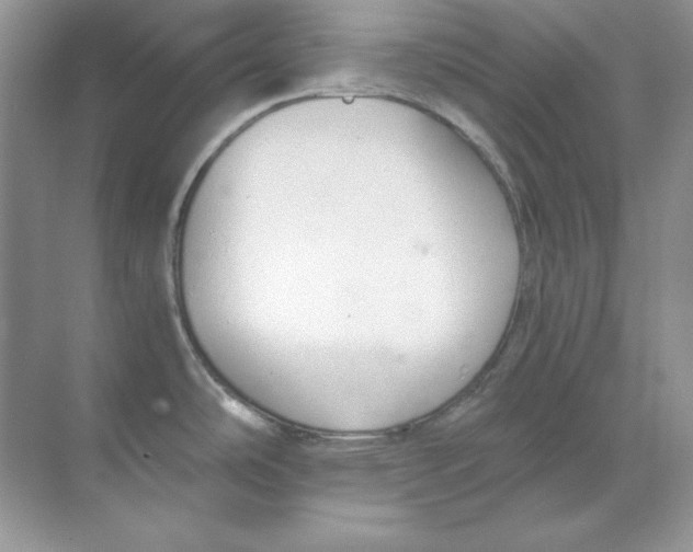 X0000068731486200605192306