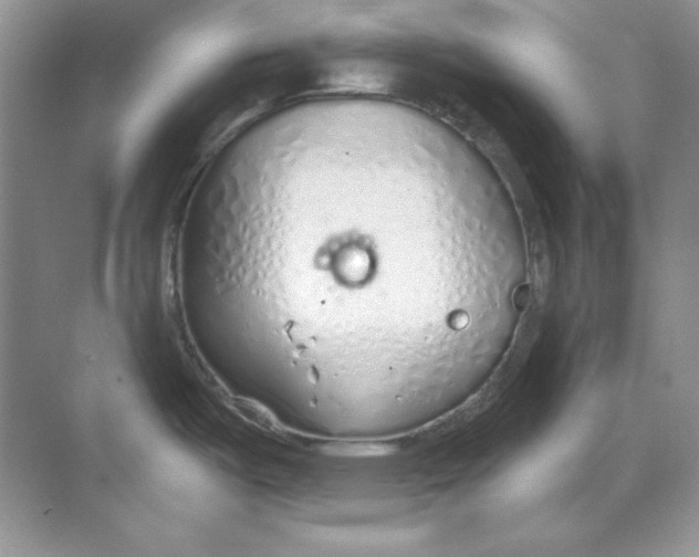 X0000068731487200605192306