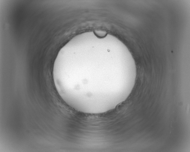 X0000068731489200605192305