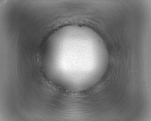 X0000068731490200605192305