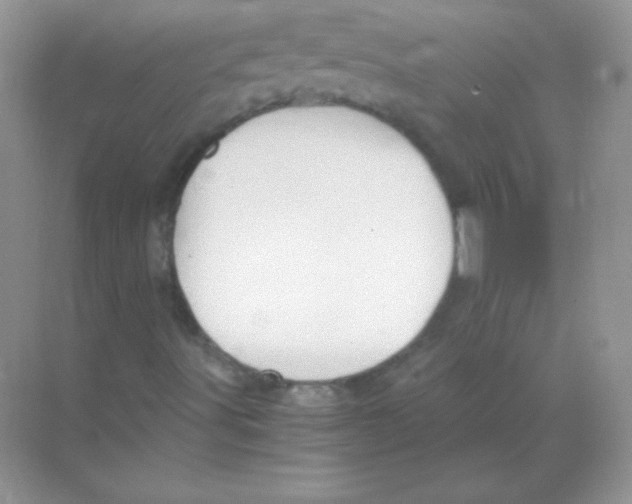 X0000068731491200605192305