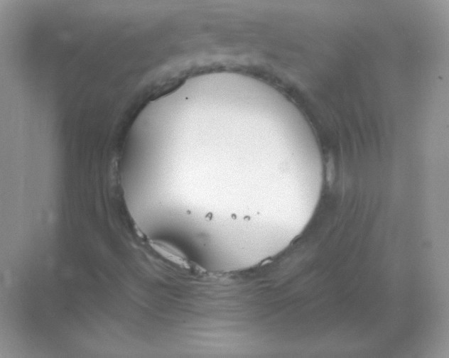 X0000068731492200605192305