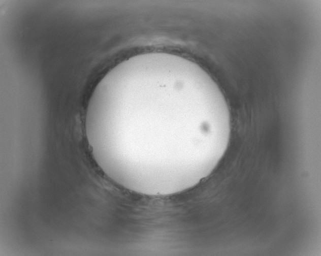 X0000068731493200605192305