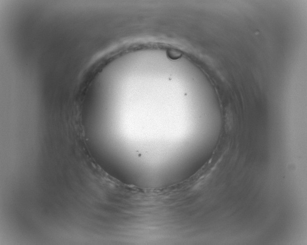 X0000068731494200605192305