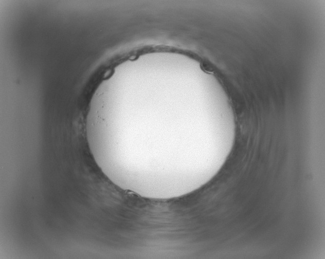 X0000068731495200605192305