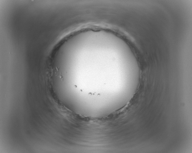 X0000068731496200605192305