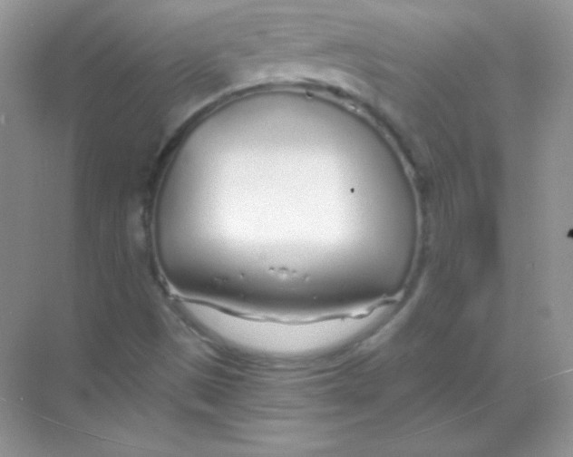 X0000068731497200605192305