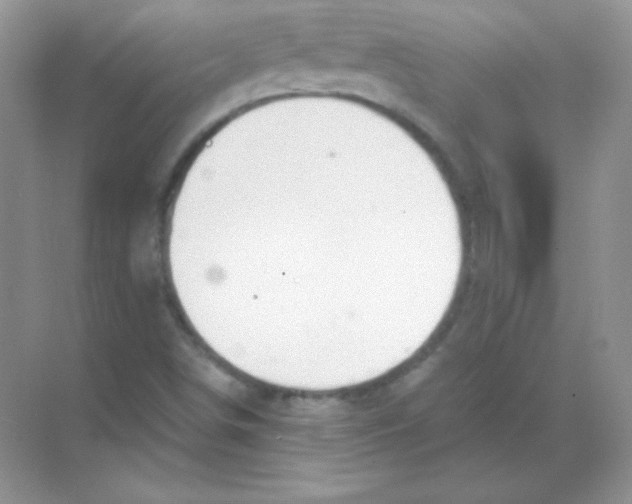 X0000068731498200605192305