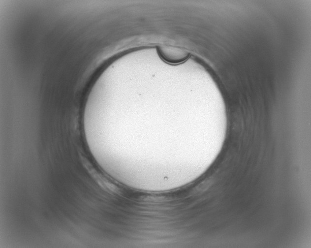 X0000068731499200605192305