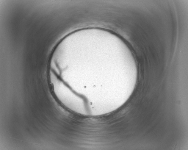 X0000068731500200605192305