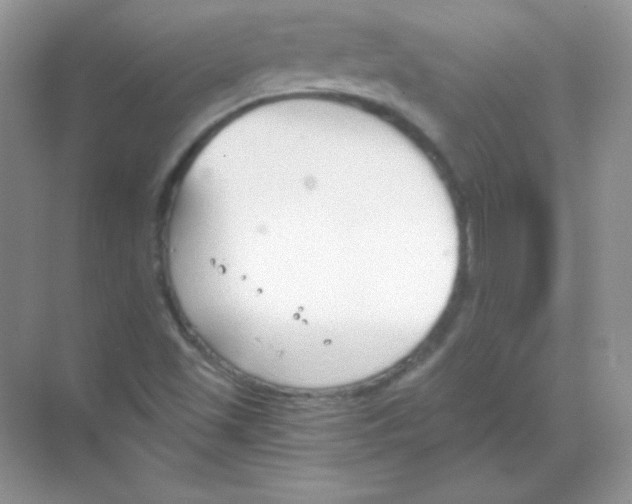 X0000068731501200605192305