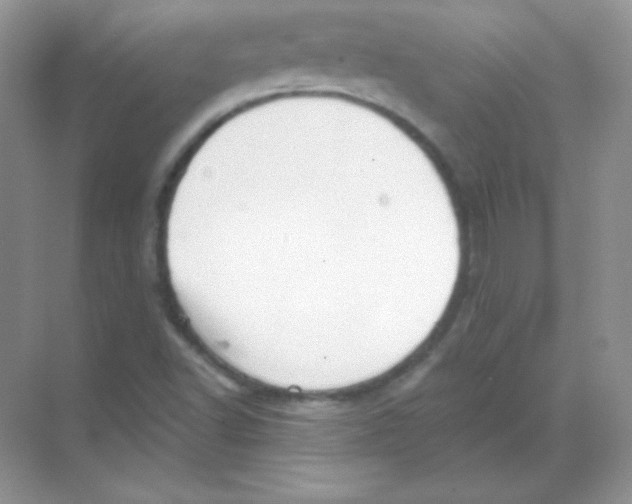 X0000068731502200605192305