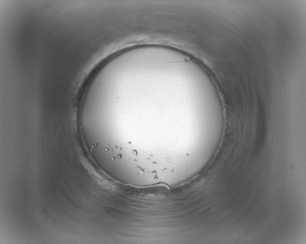 X0000068731503200605192305