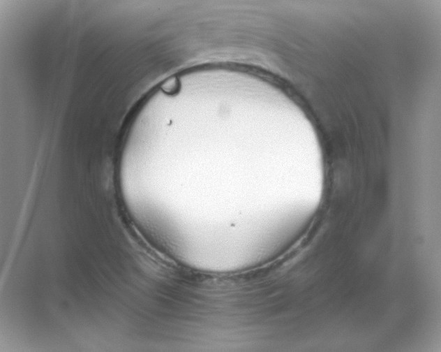 X0000068731505200605192305