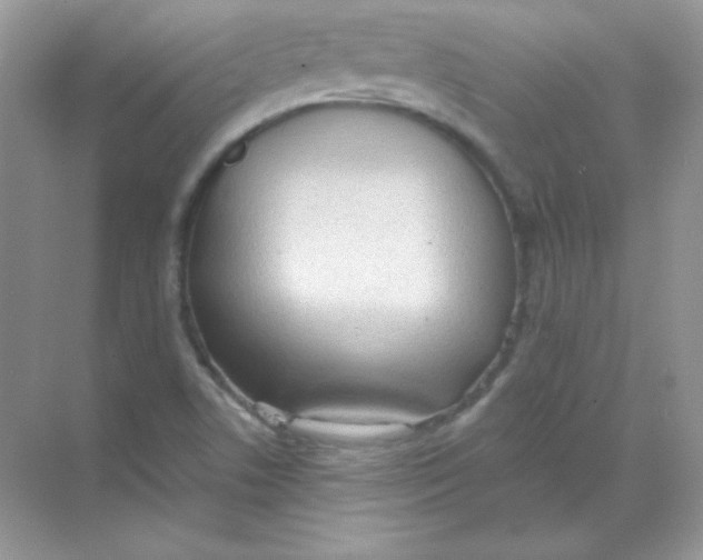 X0000068731506200605192305