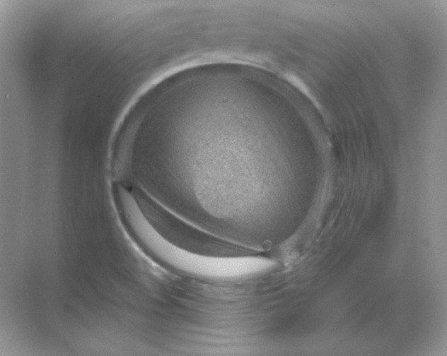 X0000068731508200605192305