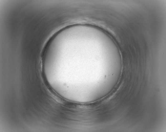 X0000068731509200605192306