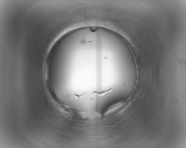 X0000068731510200605192306