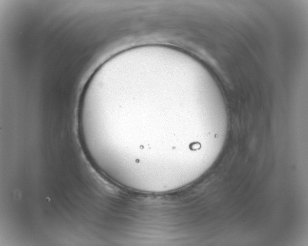 X0000068731512200605192306