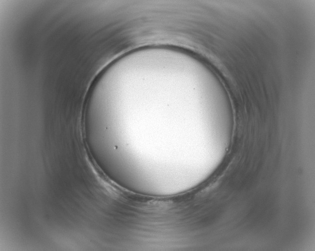 X0000068731513200605192306