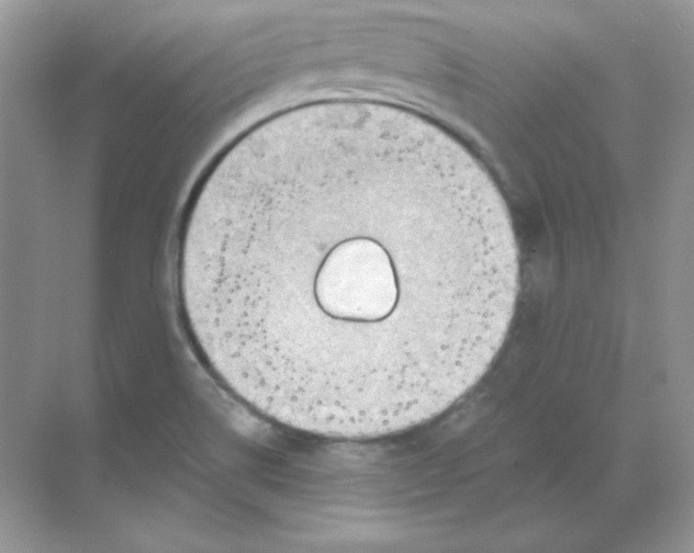 X0000068731514200605192306