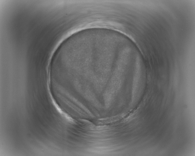 X0000068731515200605192306