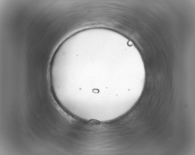 X0000068731516200605192306