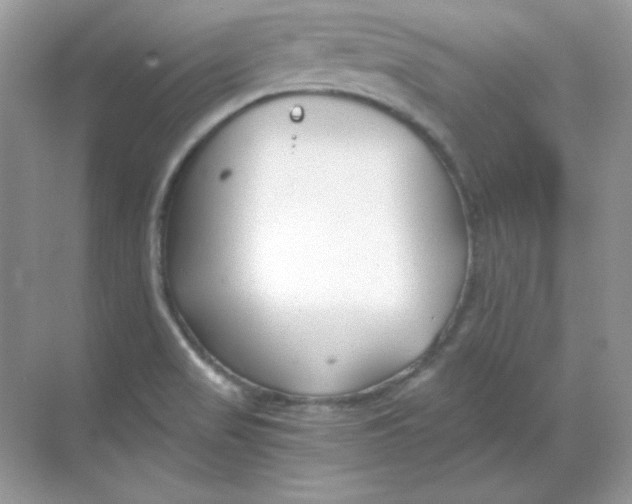 X0000068731517200605192306