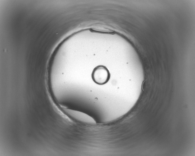 X0000068731518200605192306