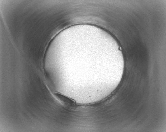 X0000068731521200605192306