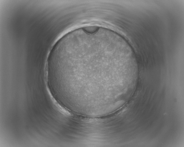 X0000068731522200605192306