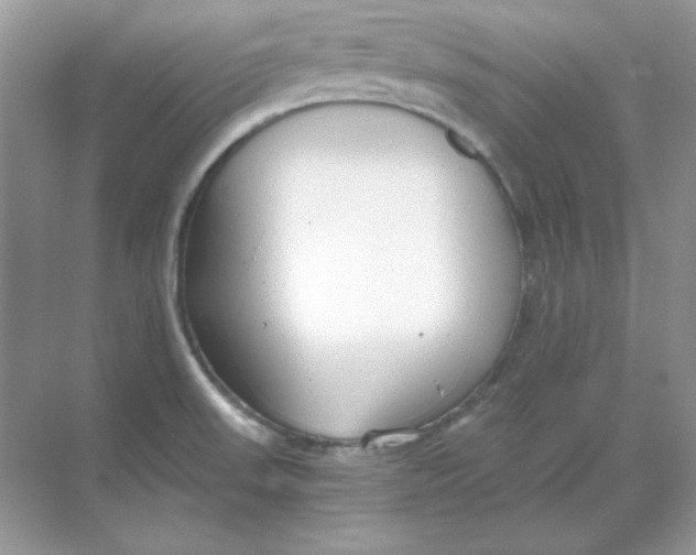 X0000068731523200605192306