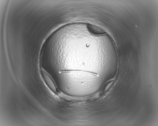 X0000068731525200605192306