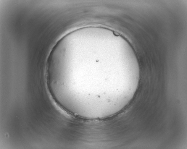 X0000068731526200605192306